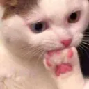 hmm