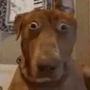 on