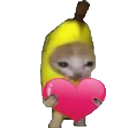 0_bananacat_happy Discord emoji