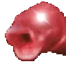 FishyyRage