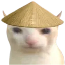 cat_ricehat Discord Emoji
