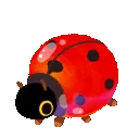 ladybuglove