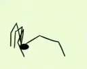 dancingspiderskiddy
