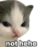 nothehe