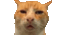 ch_guh Discord emoji