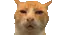 ch_guh