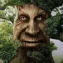 tree tree