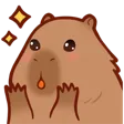 cappy_wow