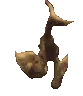 ptera_dance
