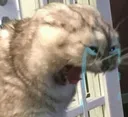 wEEEh