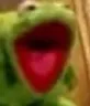 kermitlmao