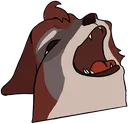 PawEvvyly_aaaa PawEvvyly_aaaa
