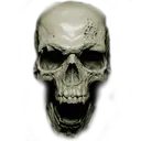 skull skull