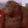 Monke