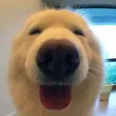 yipeeee