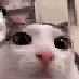 plink