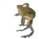 dance_frog