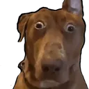 ruhroh