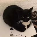 MaxWell