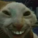 xdd