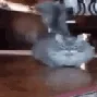 run