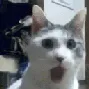 shocked shocked