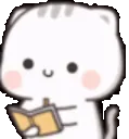 Cat_Noted_EY