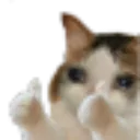 thumbsup thumbsup