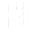 REAL REAL
