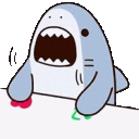 bongoshark