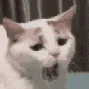 yawn