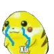 xdcry