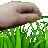 touchgrass