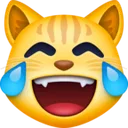 1_cat_joy