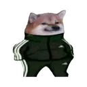 stsmall507x507pad600x600f8f8f8_p