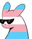 slugpartytrans