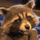 Rocket_Wink