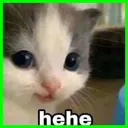 hehe