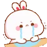 bunnycry bunnycry