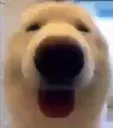 MLEHHHHHHHHHHHHHH MLEHHHHHHHHHHHHHH