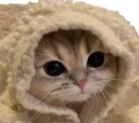 comfi