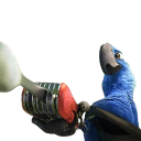 bluonguard Discord emoji