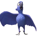 femalebluemacawshocked Discord emoji