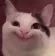 politesmile