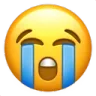 Sob sob Discord Emoji