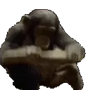 MONKESMASH