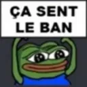 froggyban Discord Emoji