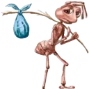 Leave