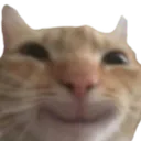 Swag Happy Discord Emoji