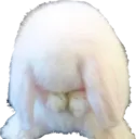 bunnysad
